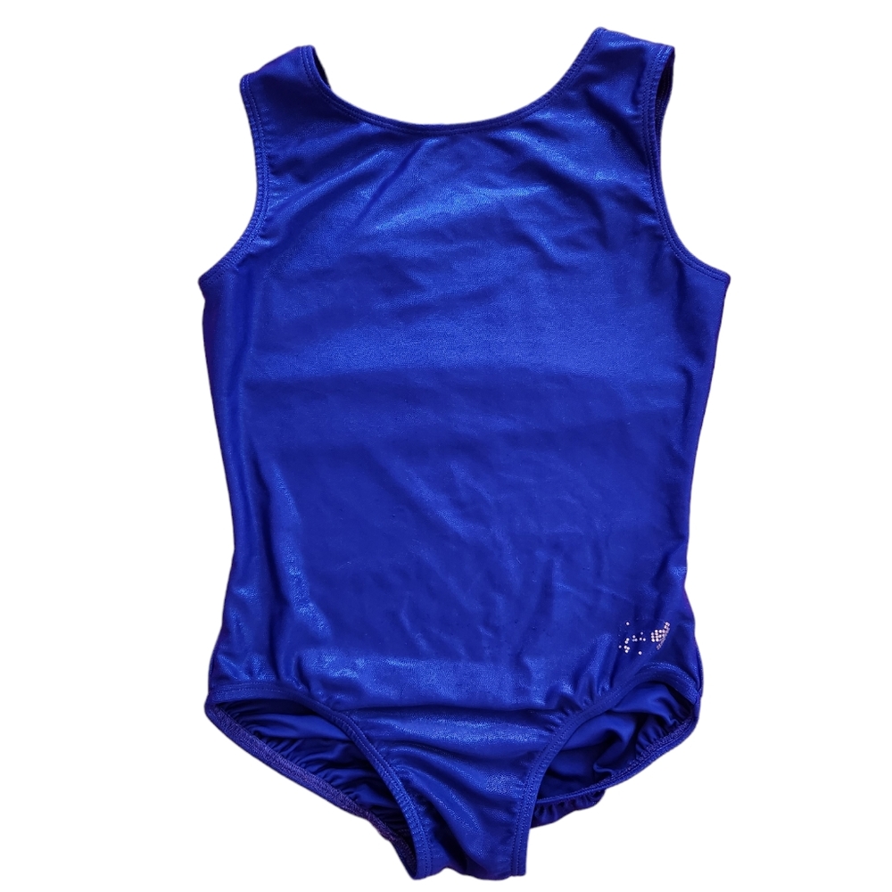 OZONE Blue Shimmer Leotard